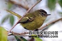 ��ռ����l