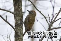 �����ľ���ͼƬ