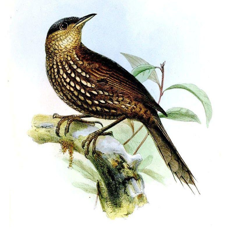 ���βȸ��ͼƬ