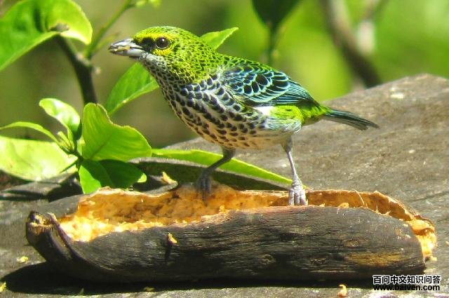 ����Ƽ���ȸ��ͼƬ