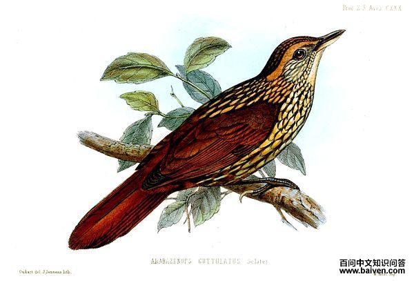 ���ʰҶȸ��ͼƬ