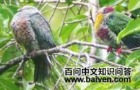 ��߻���ͼƬ