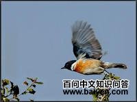 �������S