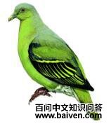 ��������ͼƬ