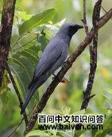 ������V��ͼƬ