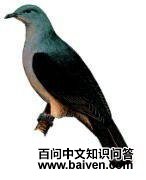 �������ͼƬ