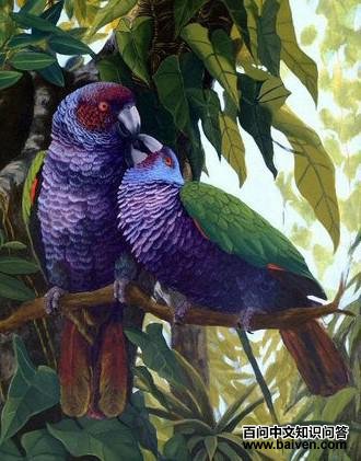 �����и��ͼƬ