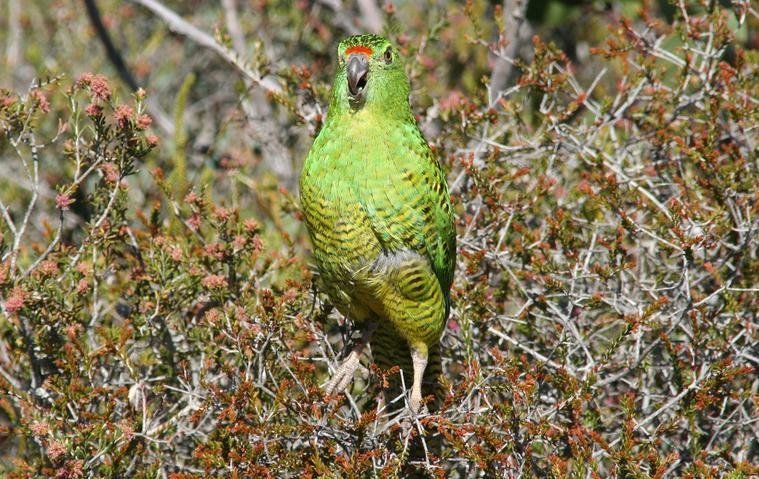 �����ĵ�ͼƬ