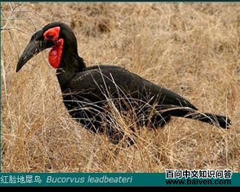 ��Ϭ����