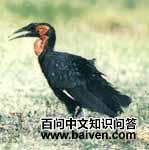 ������Ϭ��