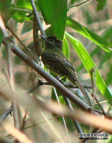 ��β������l