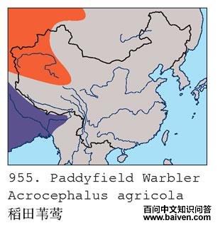 ����έݺ�������ֲ�ͼ