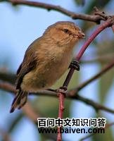 ����˿��ݺ��ͼƬ