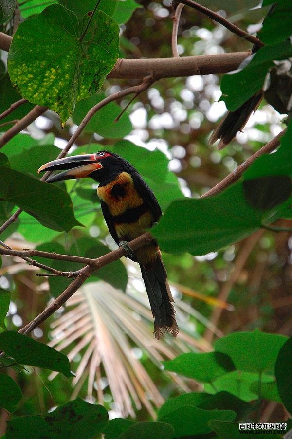 �������������ͼƬ