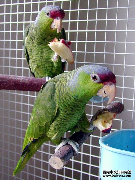 ���Ϲ��и�