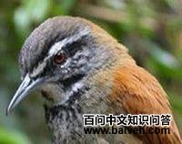 ��βέ����