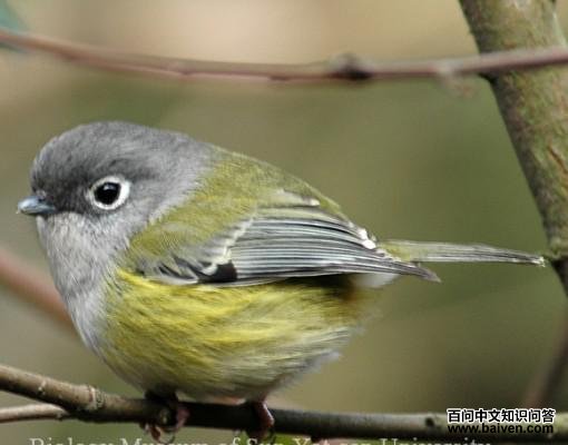 �����V��