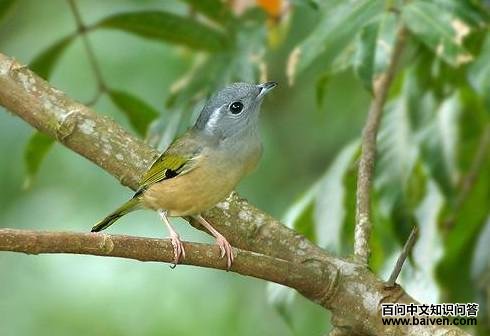 �����V��