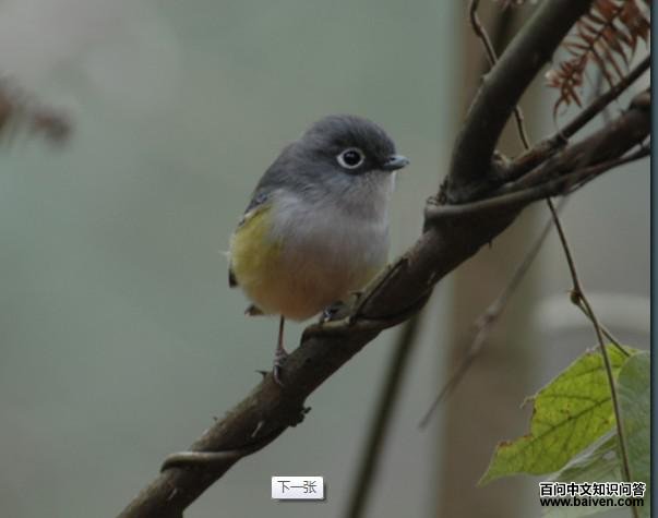 �����V��