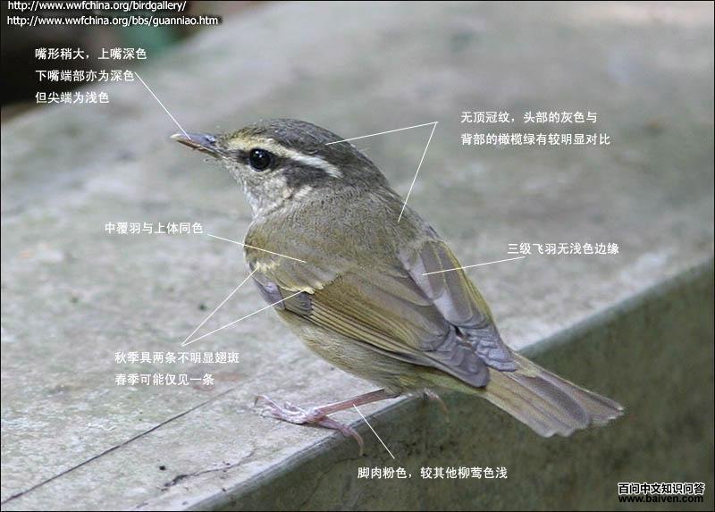 �ҽ���ݺ�ı�ʶͼ