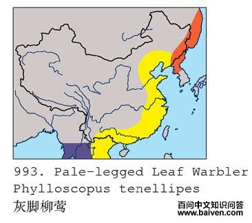 ������ݺ