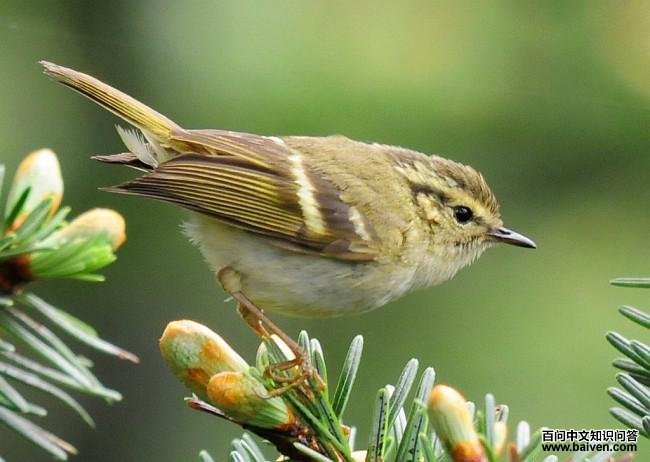 ��������ݺ��ͼƬ