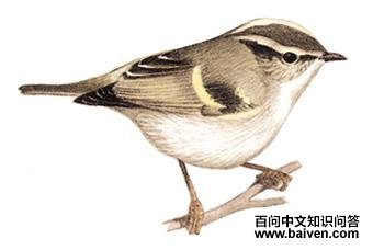 ��������ݺ��̬����