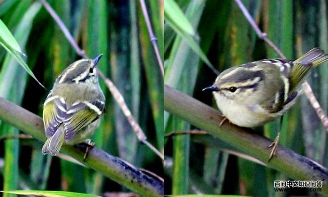 ��������ݺ������ӡ�ȣ�