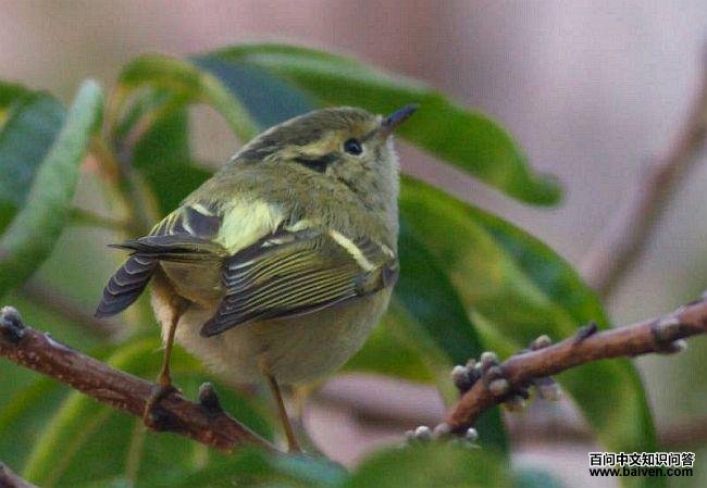 ��������ݺ������ӡ�ȣ�