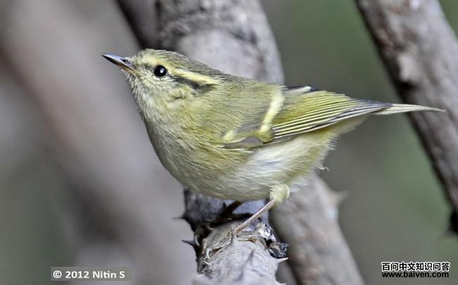 ��������ݺ������ӡ�ȣ�