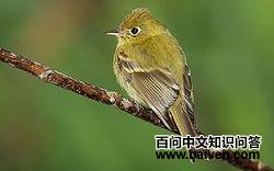 �����ư��l