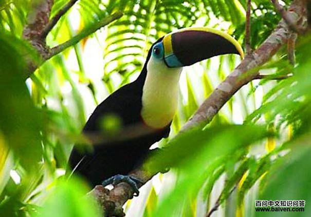 ���ƺ�������