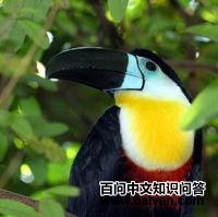 ���ƺ�������