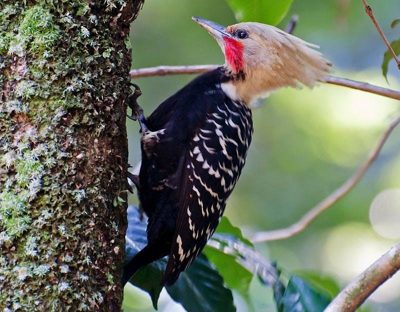 ���ƹ���ľ���ͼƬ