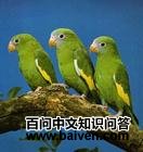 ���Ƴ��и�