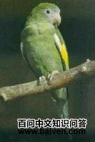 ���Ƴ��и�