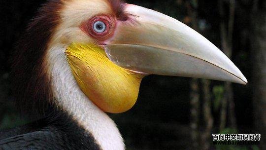 �������Ϭ���ͼƬ