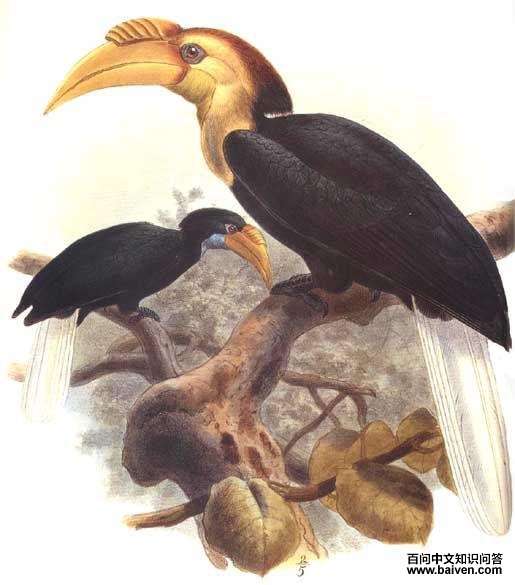 �������Ϭ����̬����ͼ