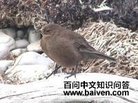 ���ڶ�β��ȸ