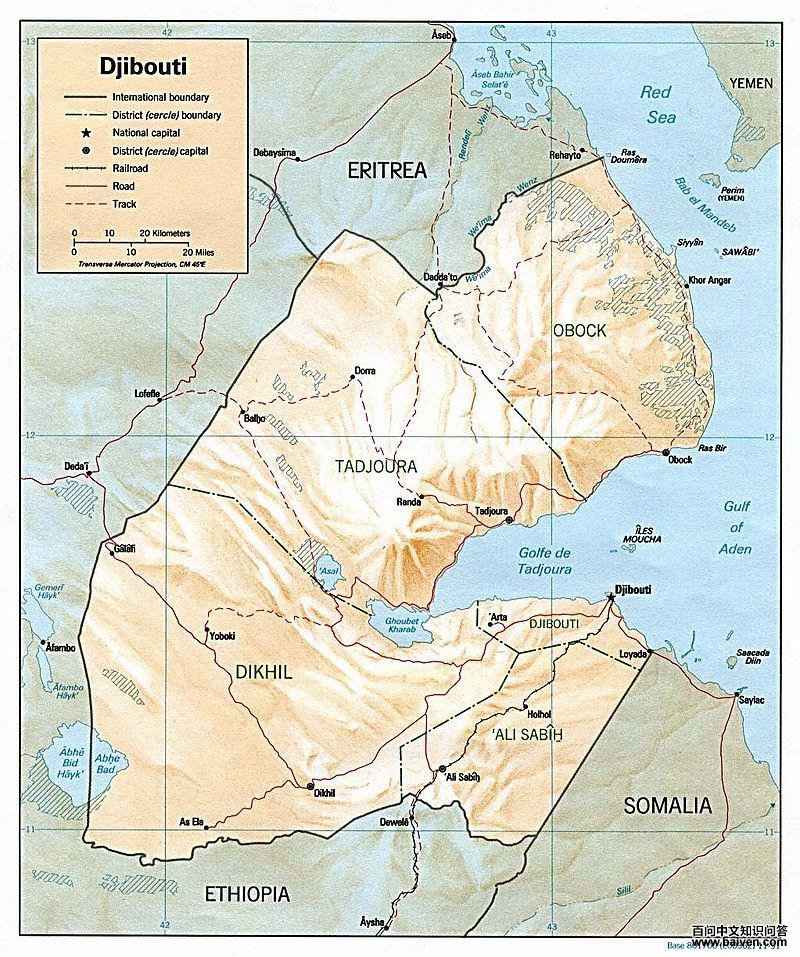 淡腹鹧鸪 淡腹鹧鸪的图片