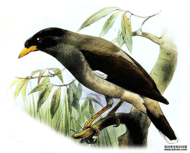 �����˸��ͼƬ