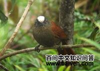 ������βȸ