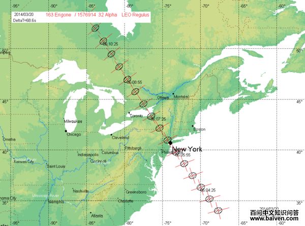 戴菊属 戴菊属的图片