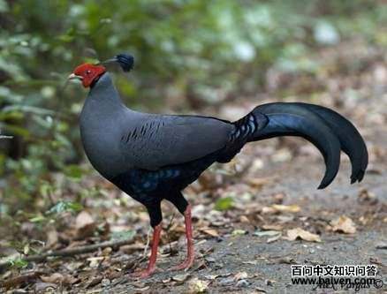 ���ϻ��µ�ͼƬ