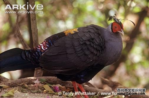 ���ϻ��£�����