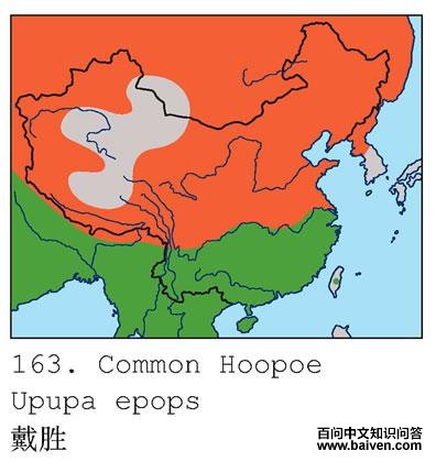 ��ʤ�������ֲ�ͼ