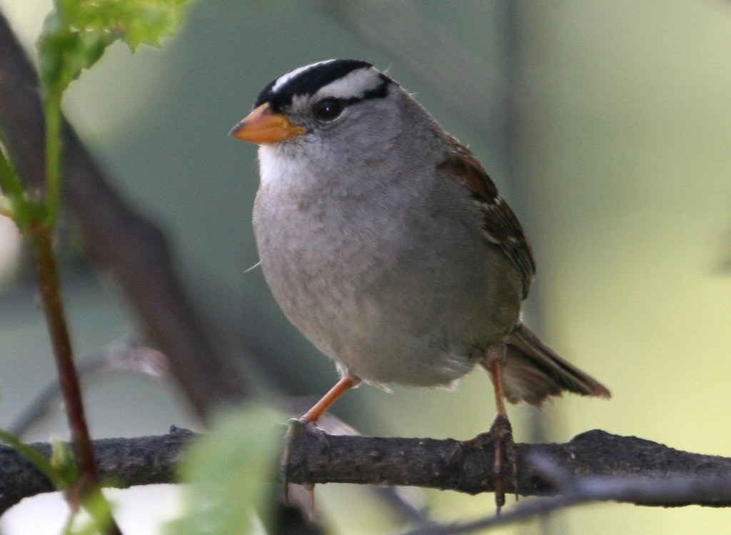 ���c����ͼƬ