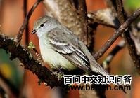 ����С���l