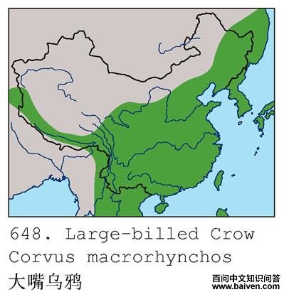 ������ѻ