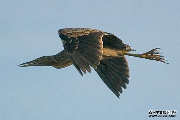 �������Z